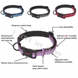 Halti Purple Nylon Adjustable cheap dog collars for sale UK | X-S, S, M, L