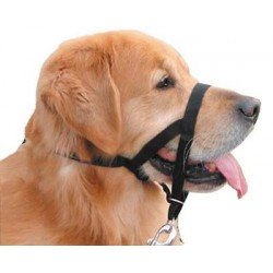Halti Dog Headcollar Stops Pulling Kindly - Range of Sizes